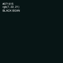 #071615 - Black Bean Color Image